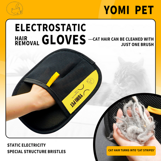 Pet hair Glove